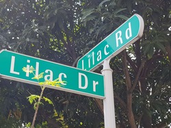 Lilac Park (D28), Terrace #178998392